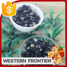 Tipo de cultivo orgânico nova safra Black Goji Berry